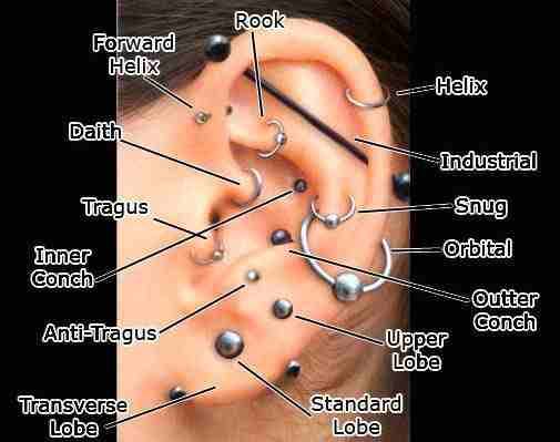 Ear piercings