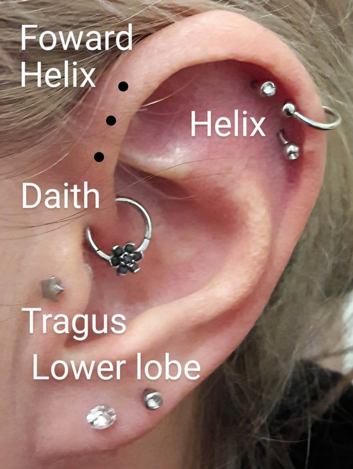 Professional Body Piercings